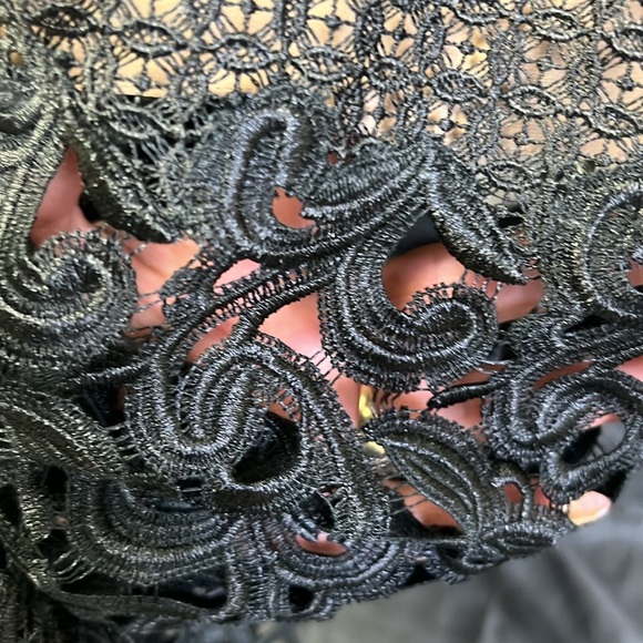 Monique Lhuillier imported lace, long sleeve long gown - Picture 4 of 14